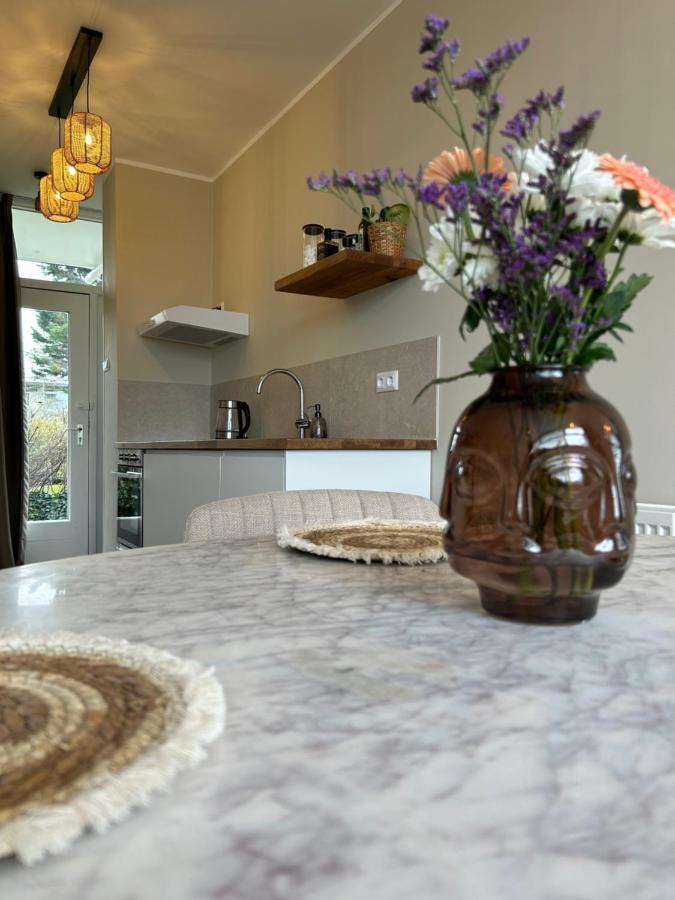 Amsterdam Beach Apartment 33, Private Garden Zandvoort Ngoại thất bức ảnh